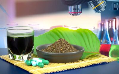 The Science Behind Kratom: How It Works and Its Potential Benefits